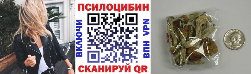 Псилоцибиновые грибы Cubensis  Харовск 